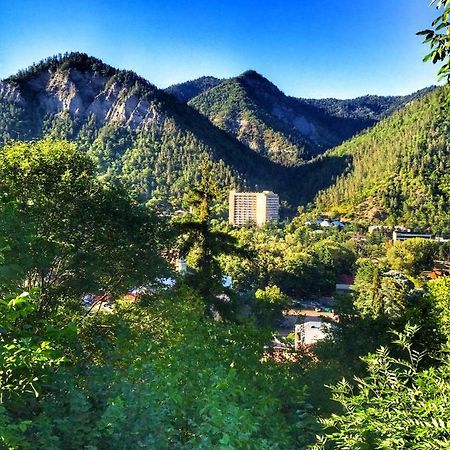 Borjomi Veranda Bagian luar foto