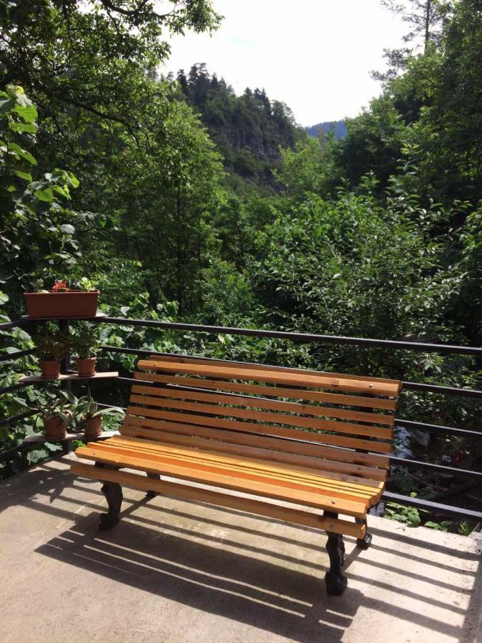Borjomi Veranda Bagian luar foto