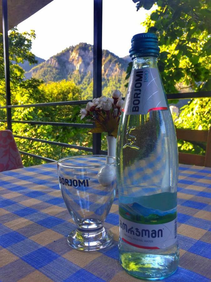 Borjomi Veranda Bagian luar foto