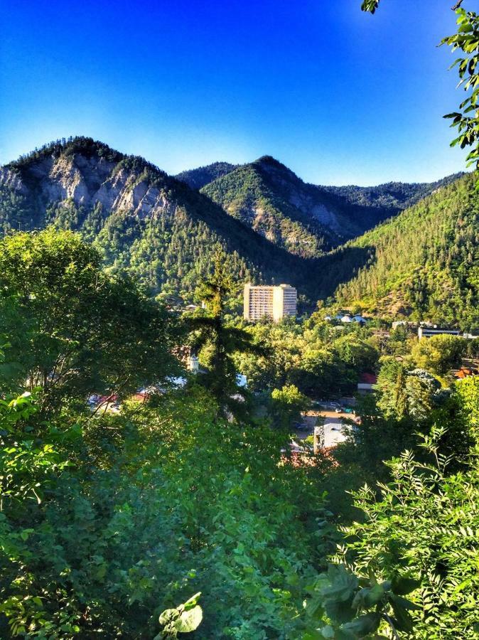 Borjomi Veranda Bagian luar foto